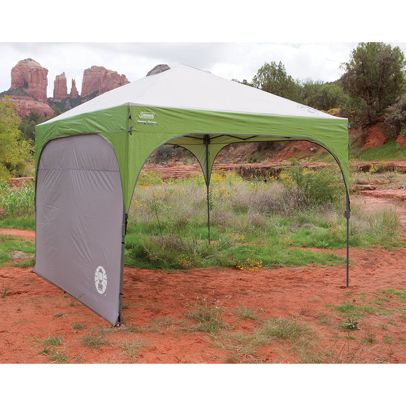 Coleman 10x10 replacement canopy hotsell